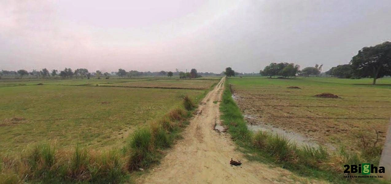 Muskara, Uttar Pradesh 210506, India