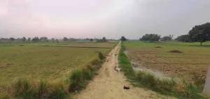 Muskara, Uttar Pradesh 210506, India preview 3