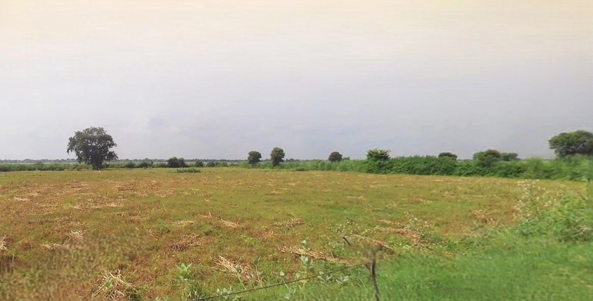 Mant, Uttar Pradesh 281202, India