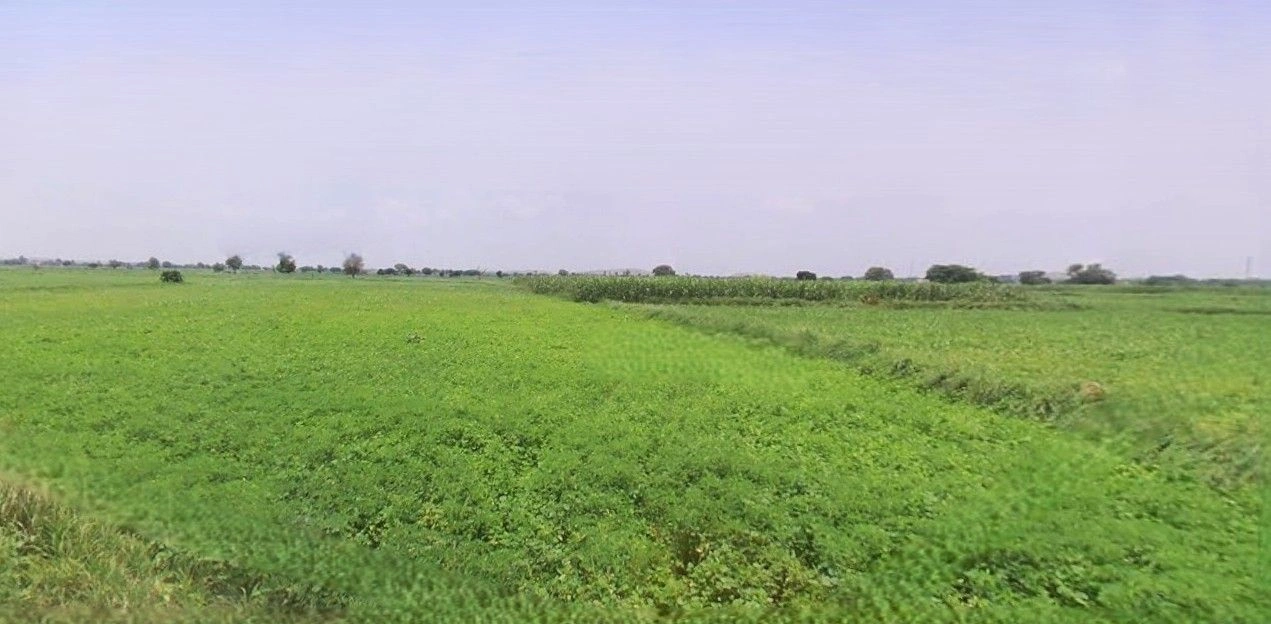 Iglas, Uttar Pradesh 202124, India preview 2