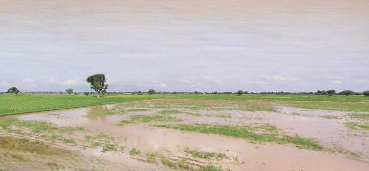 Mant, Uttar Pradesh 281202, India preview 2