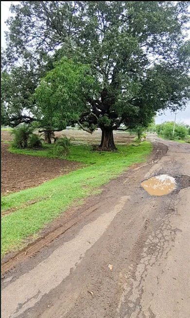 Rairu, Madhya Pradesh 474005, India