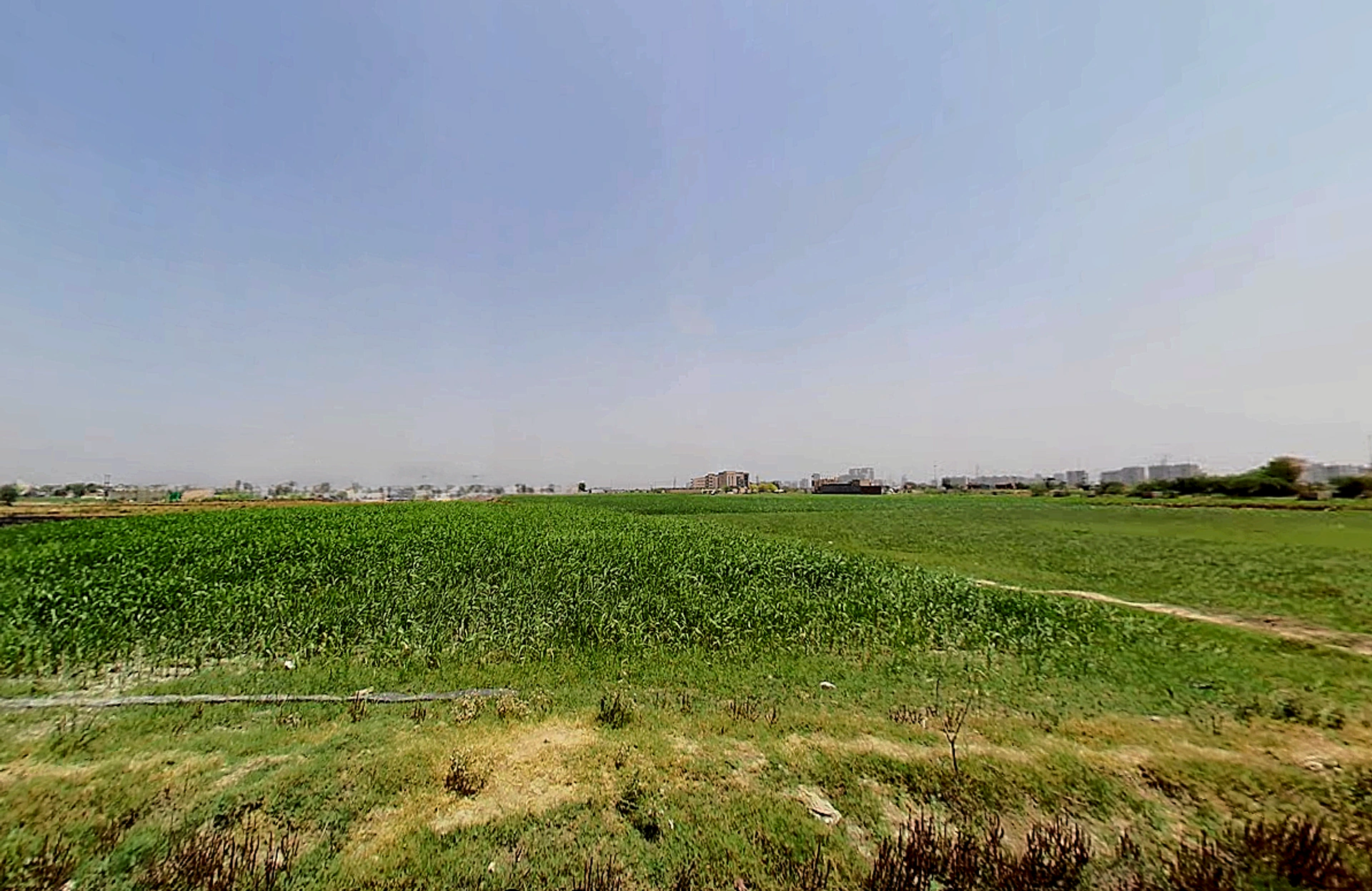 Sector 102, Gurugram, Haryana 122505, India