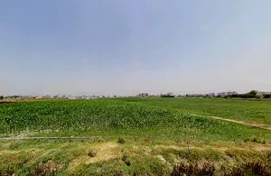 Sector 102, Gurugram, Haryana 122505, India preview 3