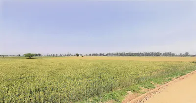 Sarurpur, Haryana, India preview 2