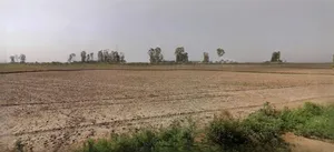 Raebareli, Uttar Pradesh, India preview 2