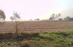 PQW7+M28, Ghasoli, Rajasthan 301405, India preview 2