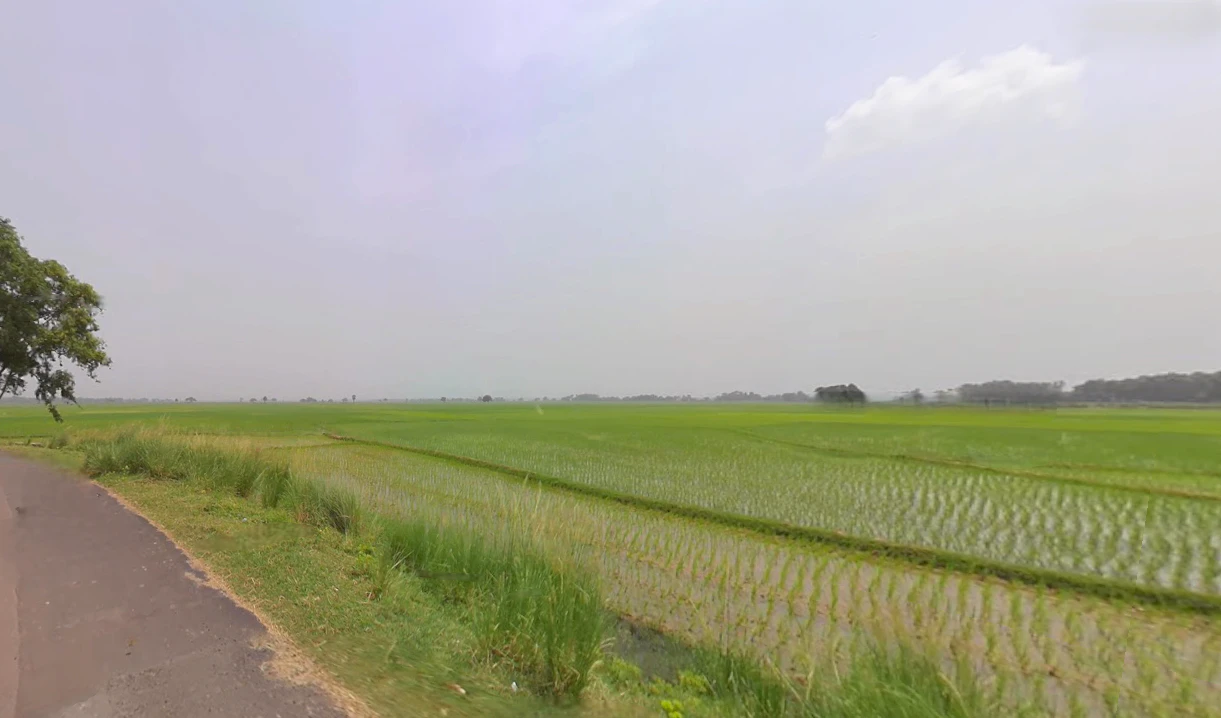 Santipur, West Bengal 741404, India