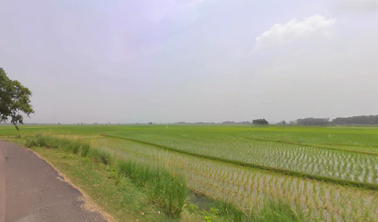 Santipur, West Bengal 741404, India