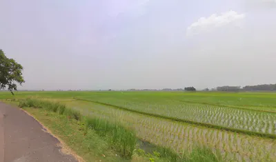 Santipur, West Bengal 741404, India preview 3