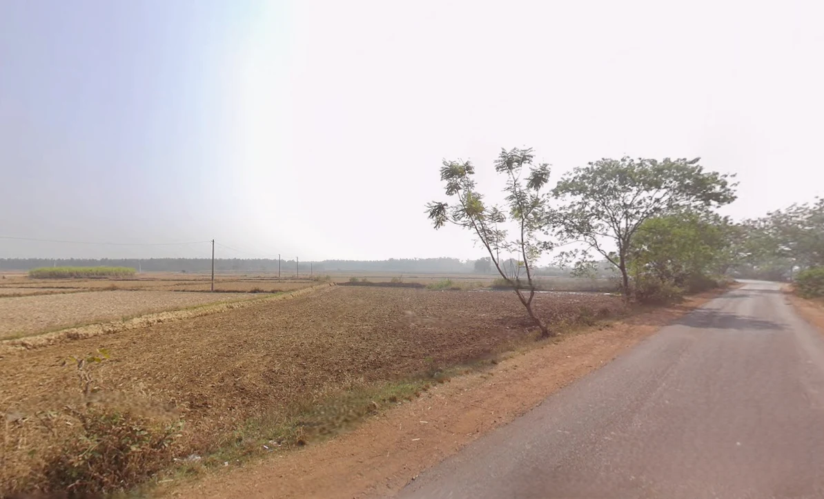 Barajaguli, West Bengal, India