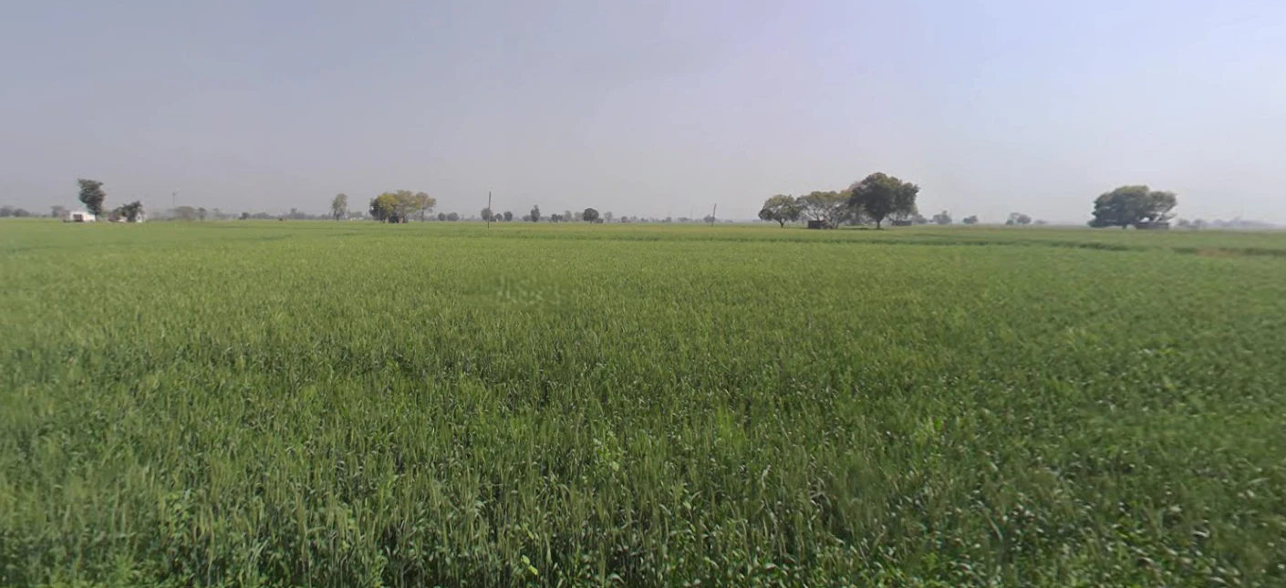 Matour, Haryana, India