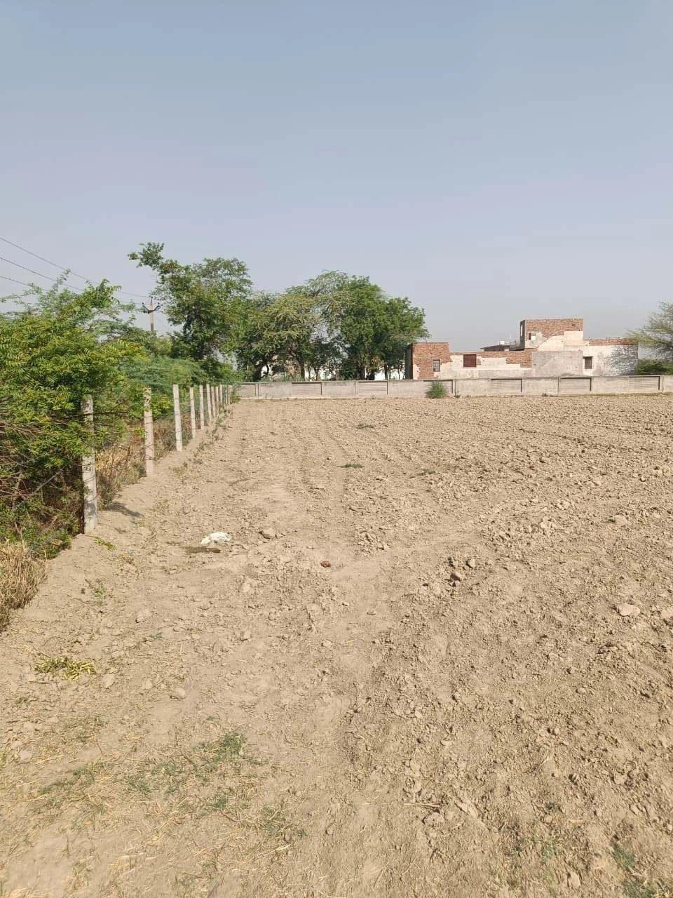 Ajhai Kalan, Uttar Pradesh 281406, India