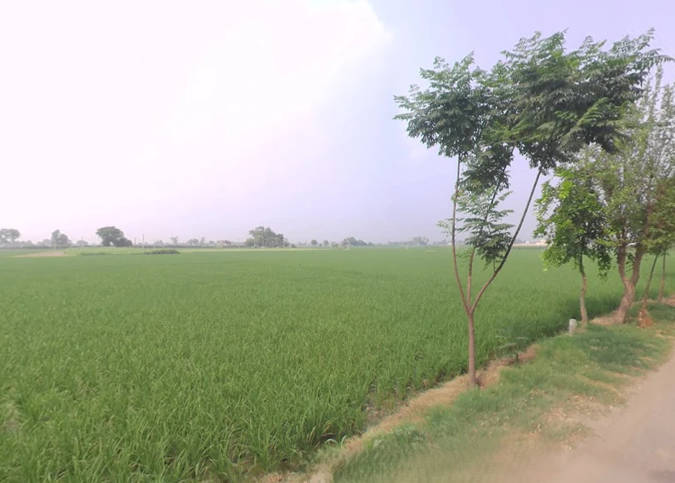 Mullanpur, Punjab 148023, India