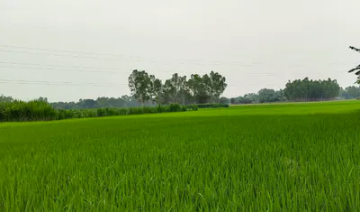 JGMV+QC Sultaniya, Rajasthan, India preview 2