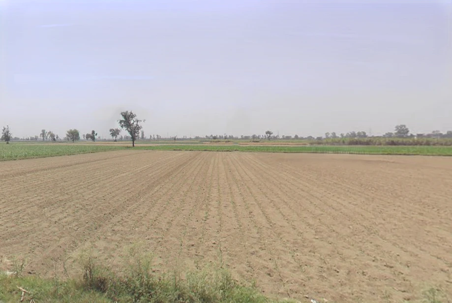 Asmoli, Uttar Pradesh 244304, India