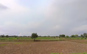 Pipartarai, Chhattisgarh, India preview 2