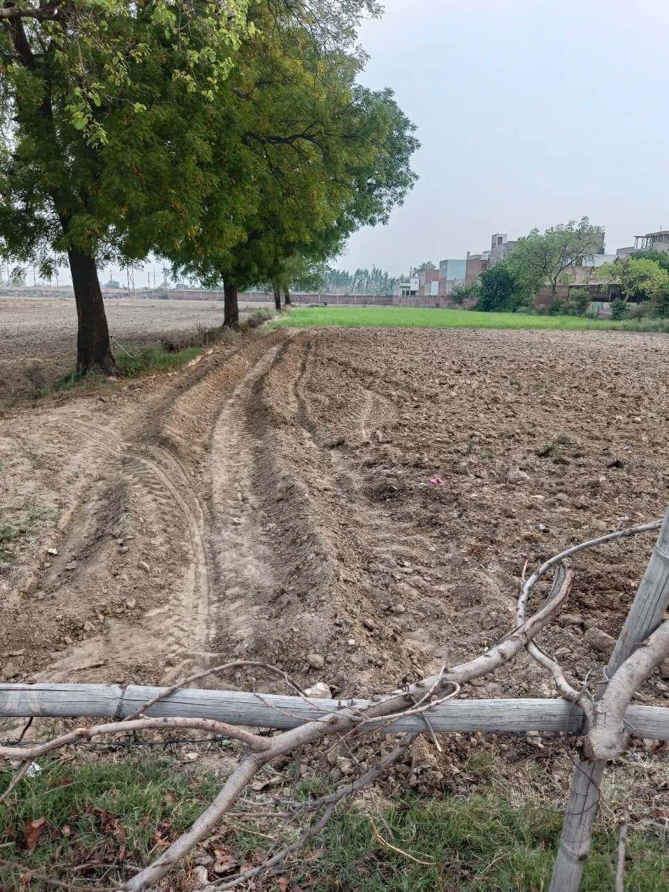 Chandauri, Uttar Pradesh, India