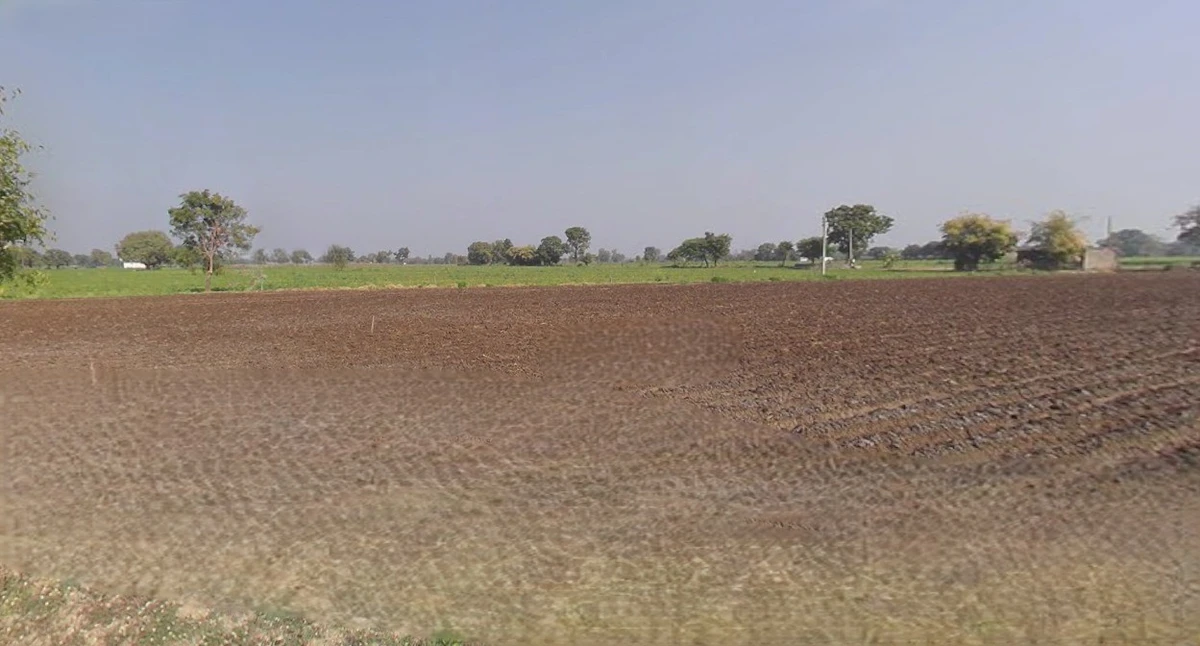 Sri Ganganagar, Rajasthan, India