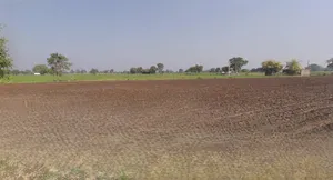 Sri Ganganagar, Rajasthan, India preview 3