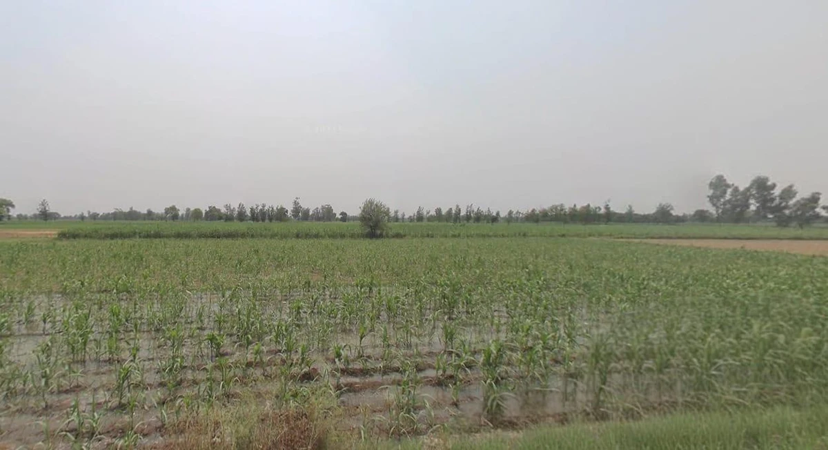 Sagar, Madhya Pradesh, India