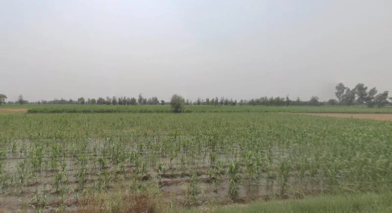 Sagar, Madhya Pradesh, India preview 2