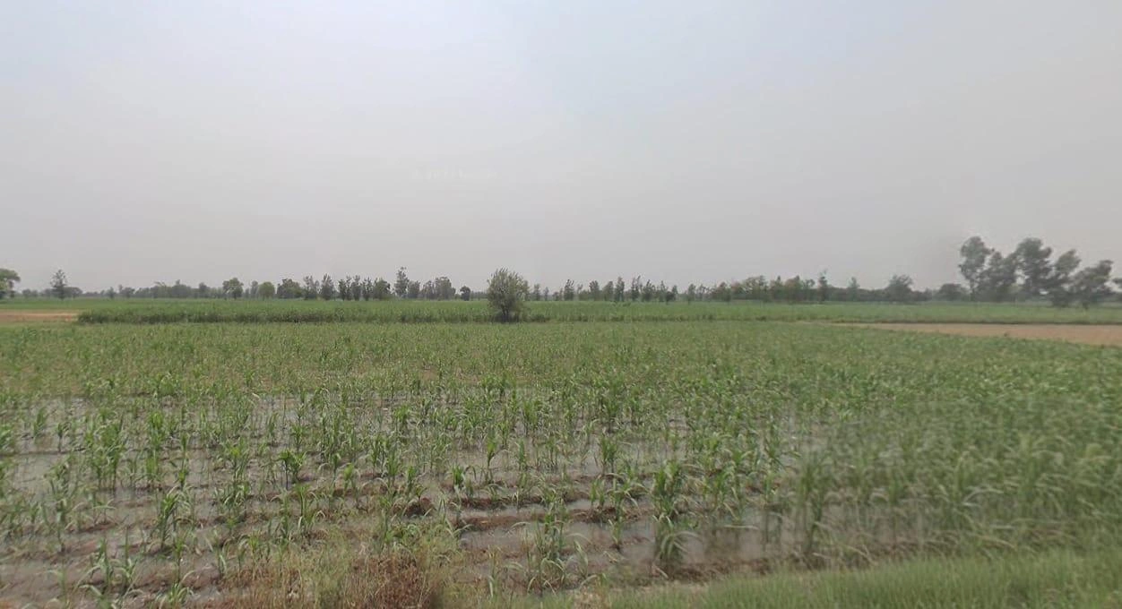 Sagar, Madhya Pradesh, India