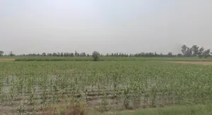 Sagar, Madhya Pradesh, India preview 2