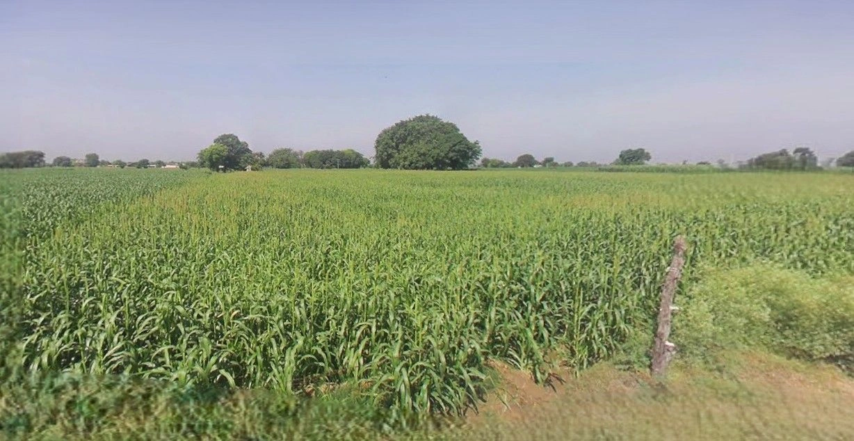 Barnagar, Madhya Pradesh 456771, India