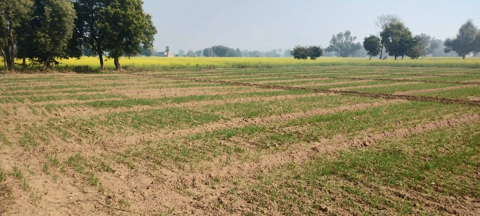 56VP+VW3, Yamunanagar, Kail, Haryana 135003, India