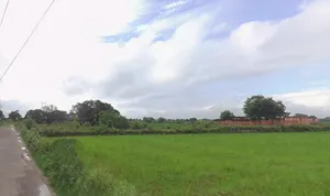 Shikarpur, Uttar Pradesh 203395, India preview 2