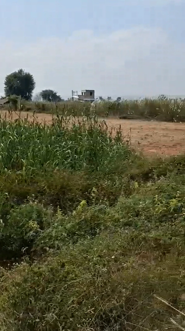 X855+X4 Nagla Jhamra, Bharatpur, Rajasthan, India