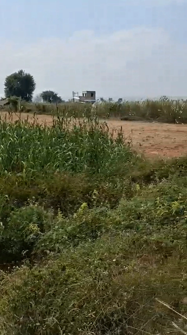 X855+X4 Nagla Jhamra, Bharatpur, Rajasthan, India - Photo 2