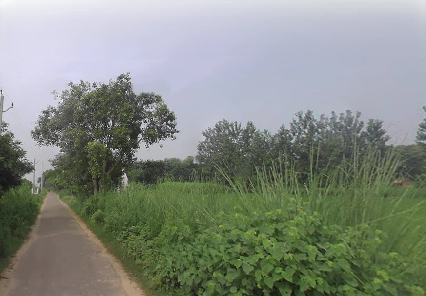 Naiphal Urf Uchangaon, Uttar Pradesh 203131, India