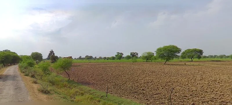 Barnagar, Madhya Pradesh 456771, India preview 2