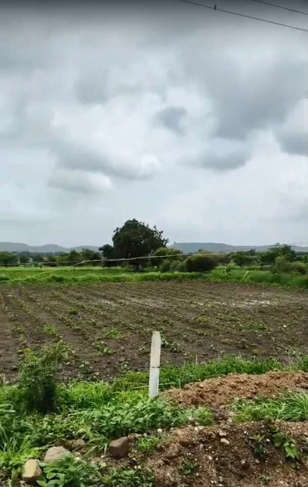 9PMW+PGM, Vikarabad, Tandur - Mominpet Rd, Kotpalli, Telangana 501106, India