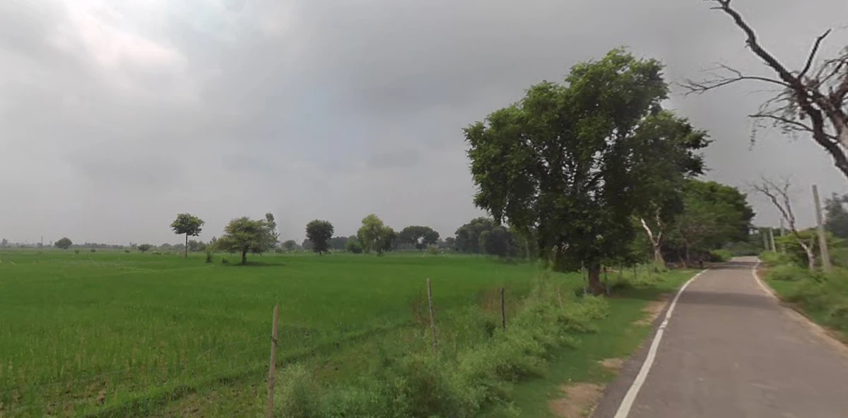 Sundari, Uttar Pradesh 262406, India