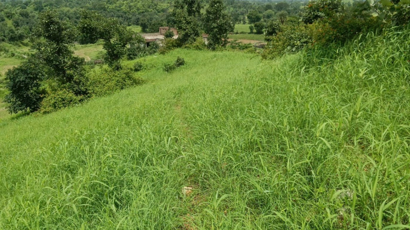C6F5+56, Udaipur, Akola, Rajasthan 313604, India