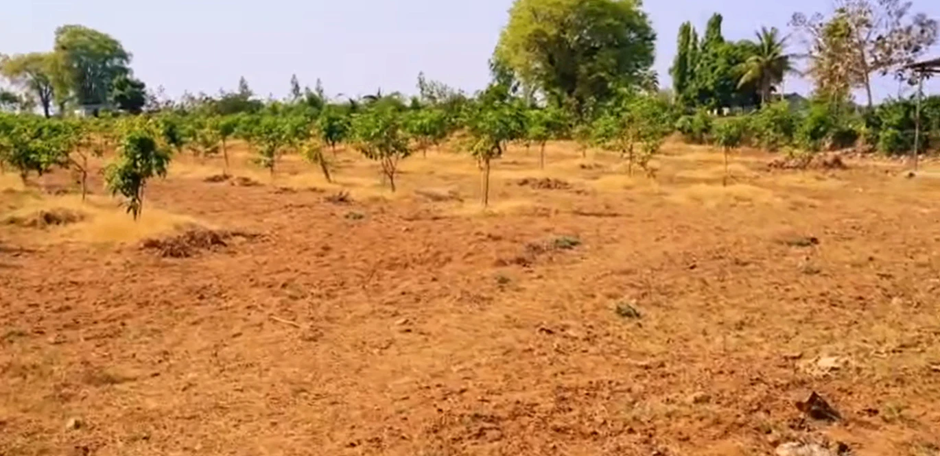 RP2J+52 Angadi Kistapur, Siddipet, Telangana, India