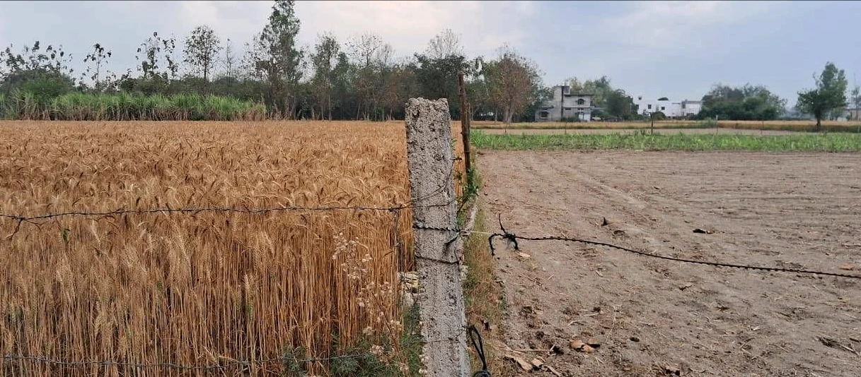 Yusufpur Rd, Yusufpur, Bihar 844121, India