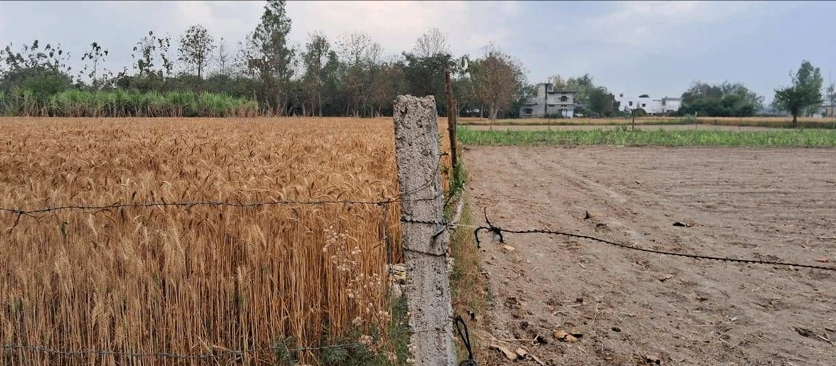 Yusufpur Rd, Yusufpur, Bihar 844121, India