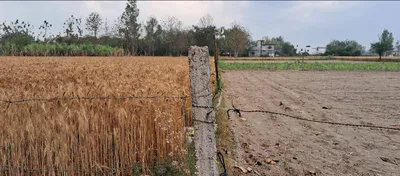 Yusufpur Rd, Yusufpur, Bihar 844121, India preview 2