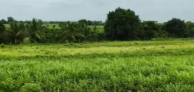 GQR9+4WH, Vikarabad, Marpalle Kalan, Telangana 501202, India preview 3