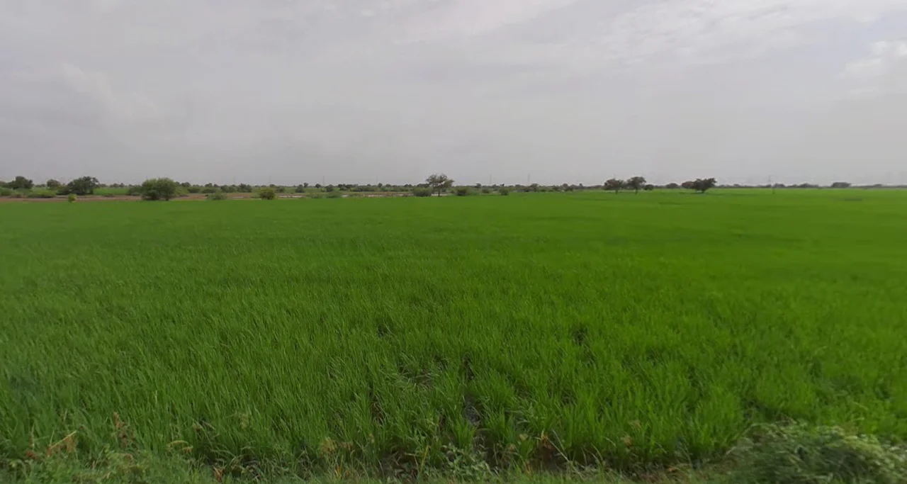 Jamni, Gujarat 387630, India preview 3