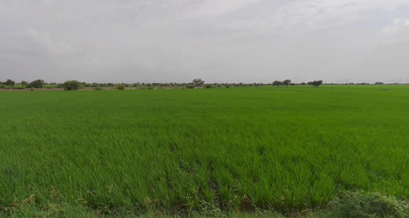 Jamni, Gujarat 387630, India