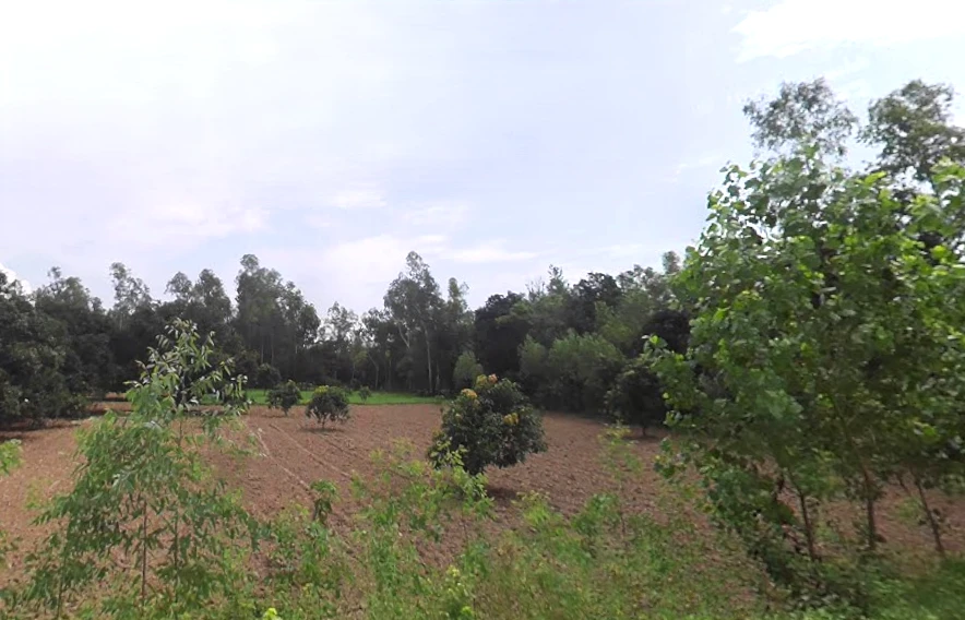 Behat, Uttar Pradesh 247121, India