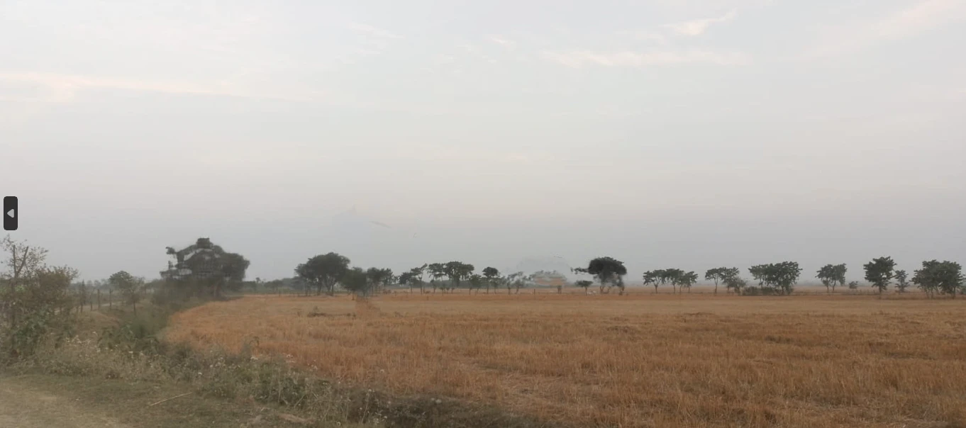 Barnagar, Madhya Pradesh 456771, India