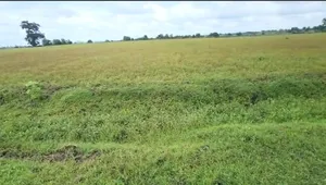 Amapani, Madhya Pradesh 464884, India preview 3