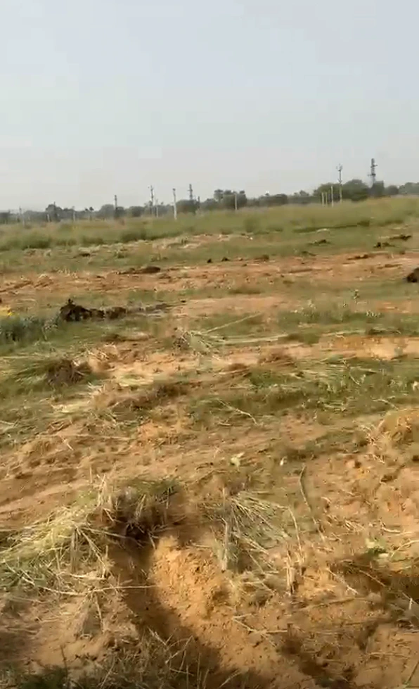 F44H+VCM, Ranga Reddy, Shankarpalle, Telangana 501203, India - Photo 3