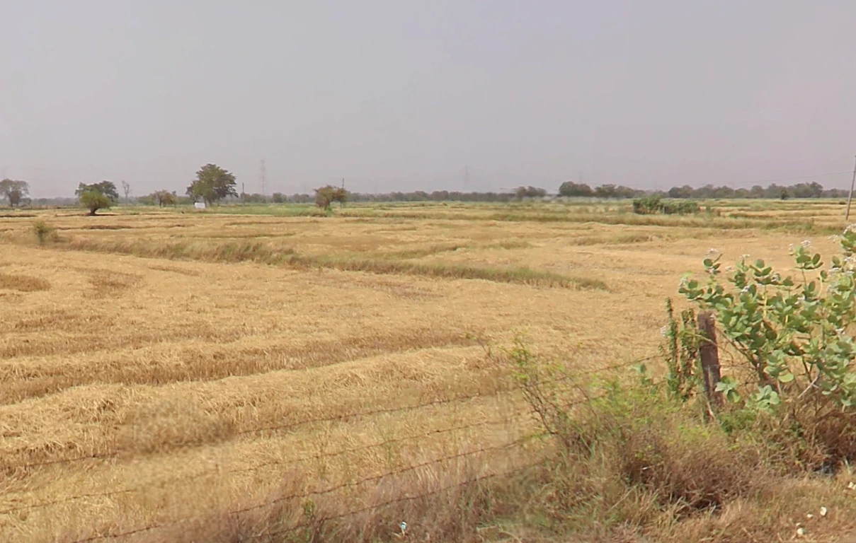 Gudguda, Chhattisgarh, India